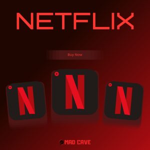 Netflix Shared Account